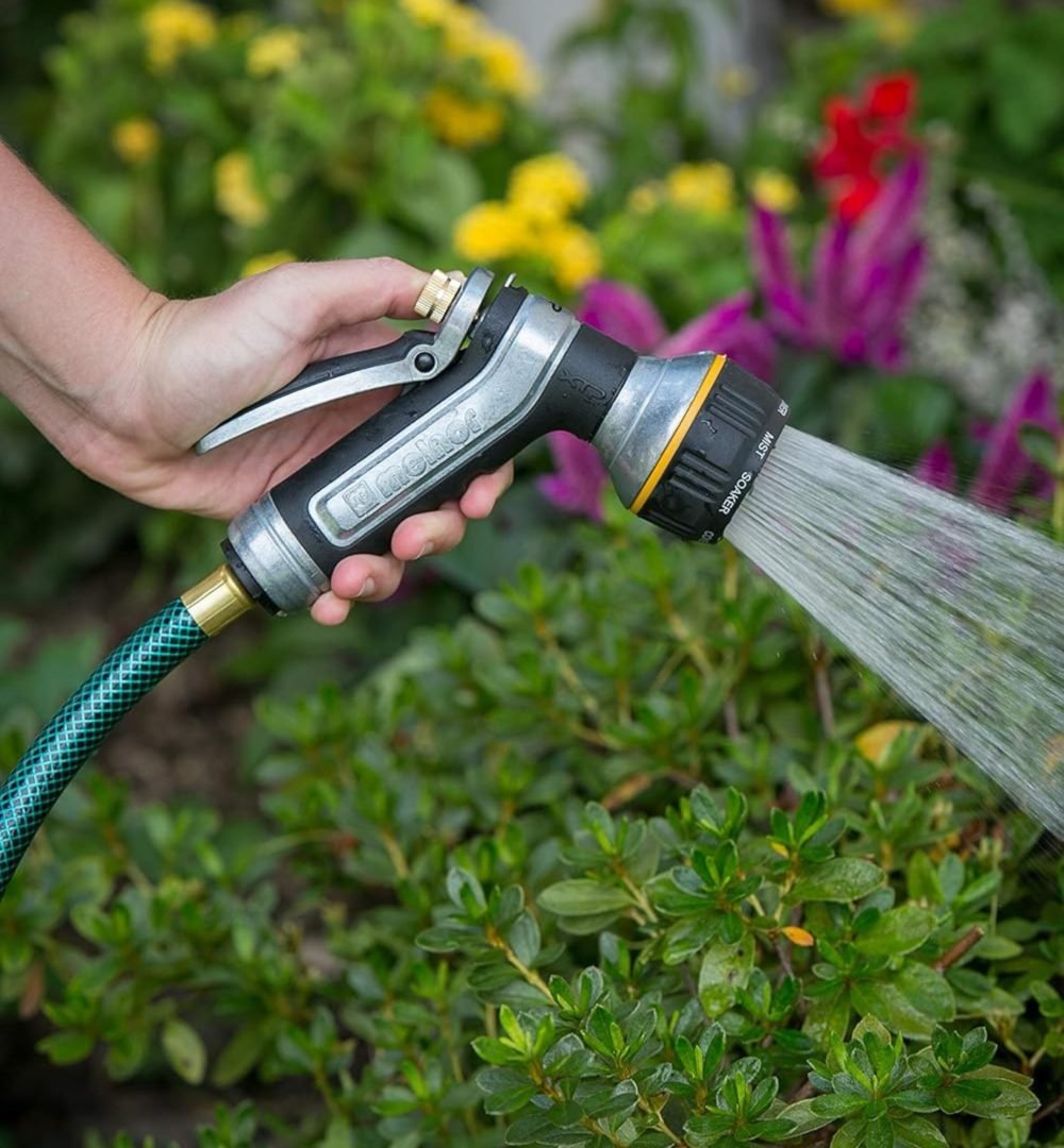 Untitled design (11)