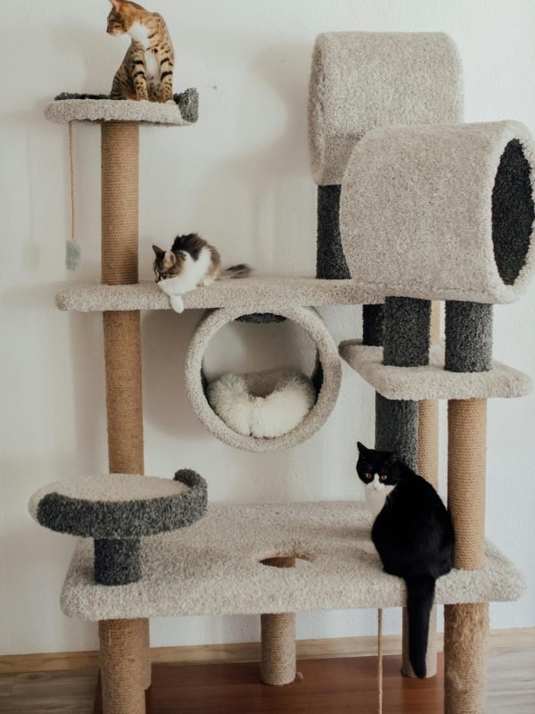 pexels-arina-krasnikova-7725617